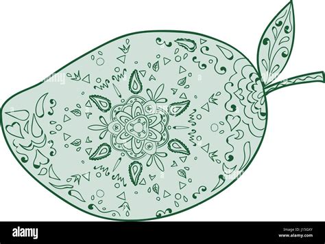 mandala style illustration of a green mango a juicy tropical stone fruit drupe belonging to the