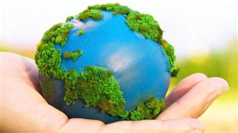 10 Consejos Para Cuidar Y Proteger Nuestro Planeta