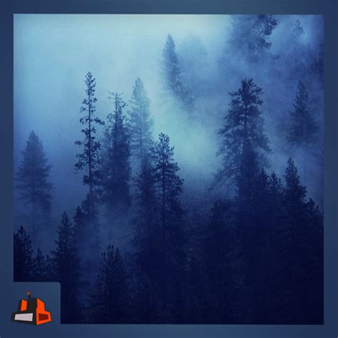 Misty Forest Step Into The Forest Of Mistamazondeappstore For Android
