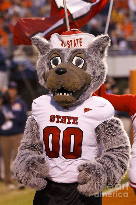 North Carolina State Wolfpack Mascot Photograph By Jason O Watson