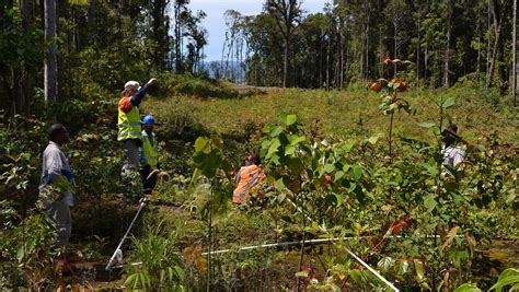 Engaging Local Communities In Biodiversity Research Exxonmobil Papua