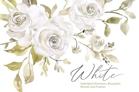 Watercolor White Roses Flowers Clipart Creative Market