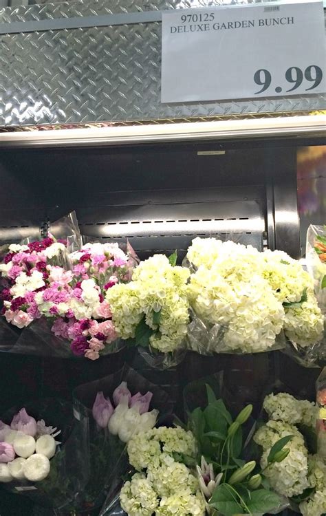 (closed) costco flowers — reviews? Costco Flowers - Beautiful Flowers as low as $9.99 ...