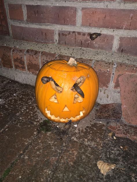 Cursed Pumpkin Rhalloween