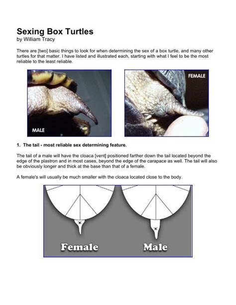 Sexing Box Turtles Pdf