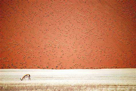 National Geographic Travel Photographer Of The Year Contest 2016