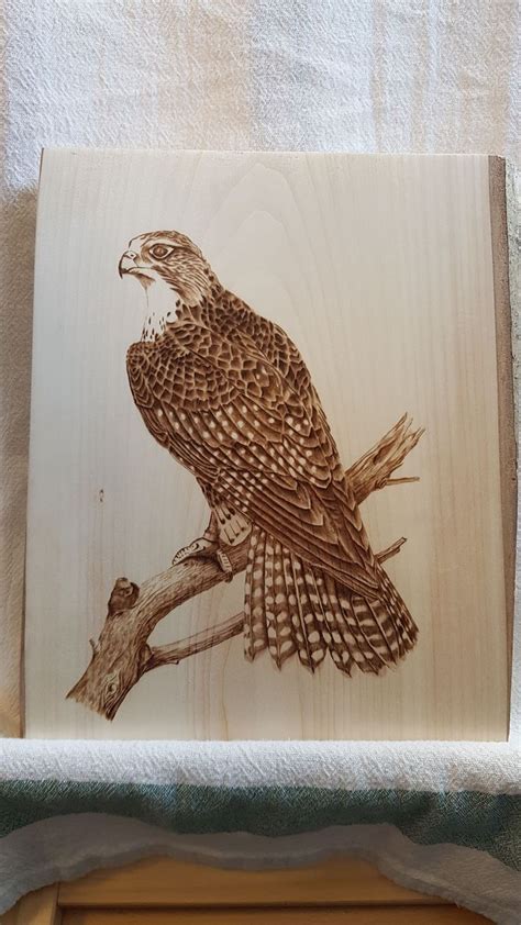 pin tillagd av mari godwin på wood burning pyrografi hantverksidéer