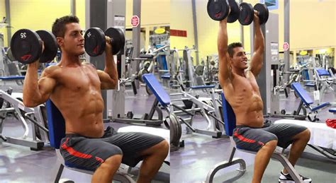 Dumbbell Shoulder Press Exercise The Optimal You