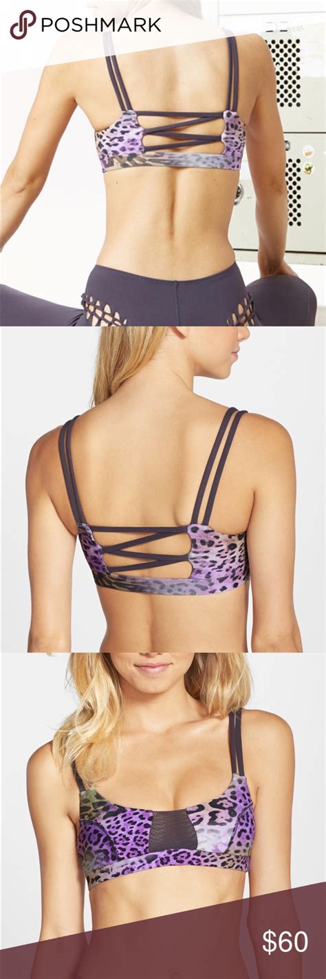 Browse through the different catalogs of trendy spandex booty shorts on alibaba.com to pick the perfect pairs. Final $ Blue Life Leopard Sports Bra NWT (With images ...