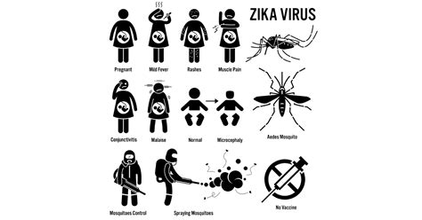 Zika Virus Symptoms Causes Prevention And Treatments