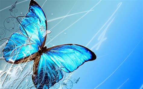 Hearts And Butterflies Desktop Wallpapers Top Free Hearts And