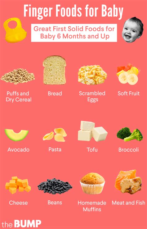 At 9 months, your baby has probably become familiar with different foods. Finger Foods For 9 Month Old With 2 Teeth - Teeth Poster