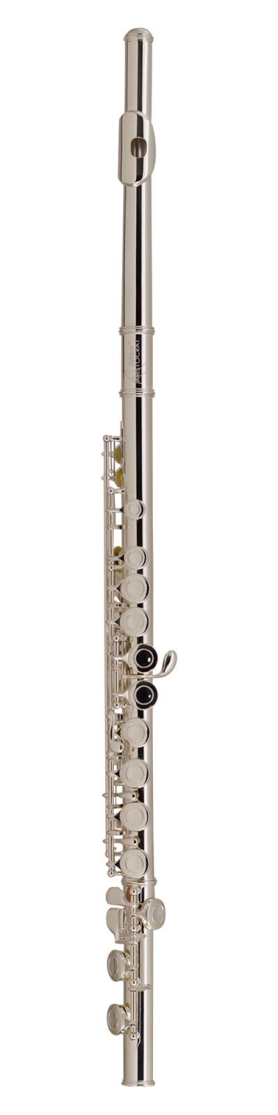 Selmer Sfl200 Student Closed Hole Flute Outfit
