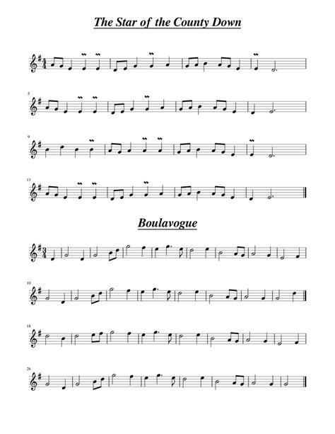 The Star Of The County Down Sheet Music For Flute Download Free In