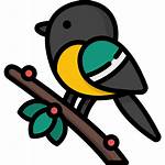 Bird Icons Icon Flaticon