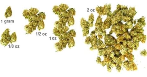 Home ›› mass converter › pounds to grams converter › convert 2 lb to gr. What Does An Ounce Of Marijuana Look Like - How Many Grams ...