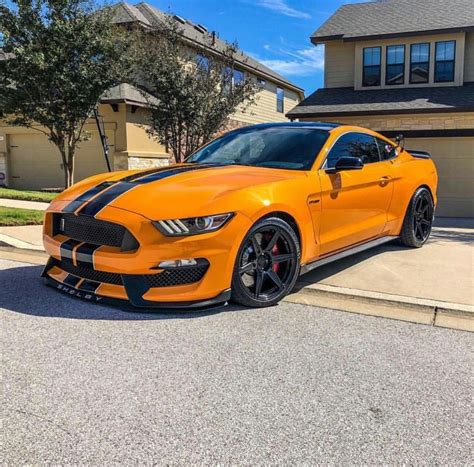 Orange Shelby Mustang Mustang 2015 Mustang Ford Shelby
