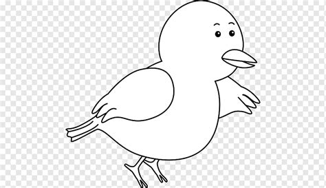 Video ini saya persembahkan untuk ibu dan isteri saya, yang sudah banyak berjasa dalam hidup saya. Gambar Burung Hitam Putih - Rajiman