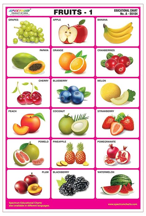 Vegetable Names Learn Different Types Of Vegetables With Fruits And
