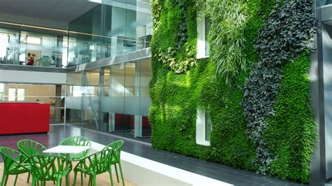 What Is Biophilic Design And How Do We Use It Bdaa