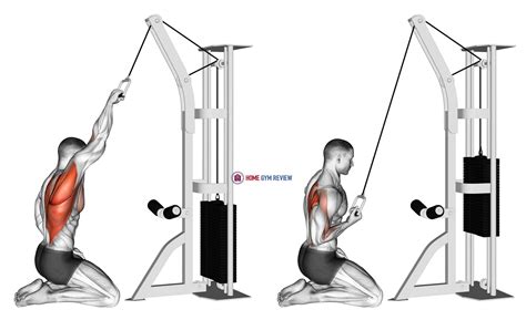 Cable One Arm Straight Back High Row Kneeling Home Gym Review