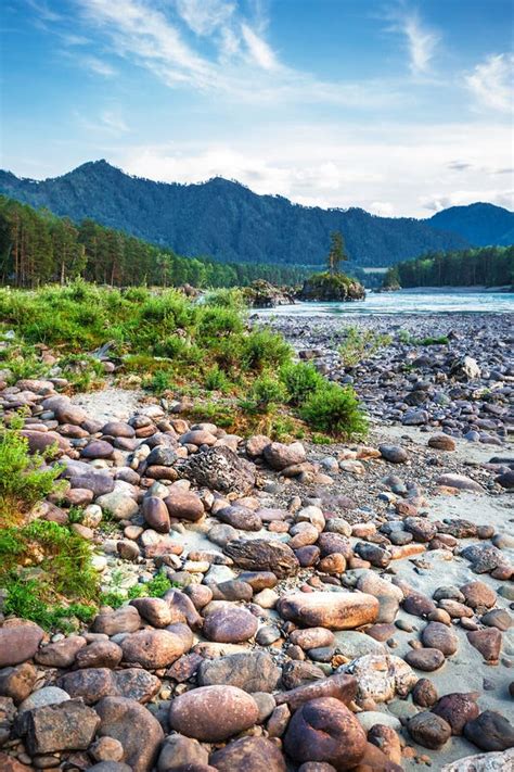 The River Katun Mountain Altai Southern Siberia Russia Stock Image