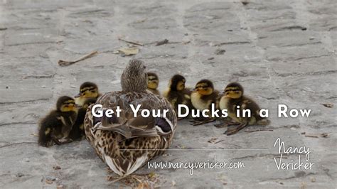 Get Your Ducks In A Row Nancy Vericker