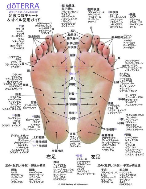 Hand Foot Reflexology Cardstock X Reflexology Foot Chart Foot My Xxx Hot Girl