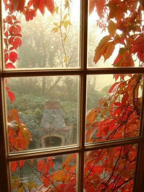 Pin By Author Penelope Douglas On Autumn Window View Beautiful Fall