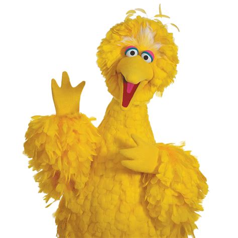 Big Bird Without Feathers Will Ruin Your Childhood Big Bird Cool