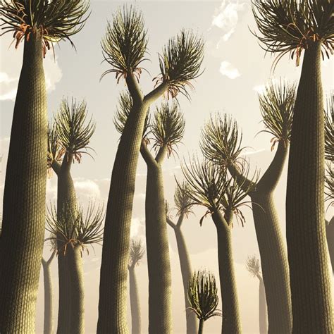 An Artists Rendering Of A Group Of Trees In The Desert