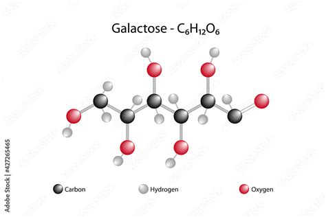 Molecular Formula And Chemical Structure Of Galactose Stock Vector