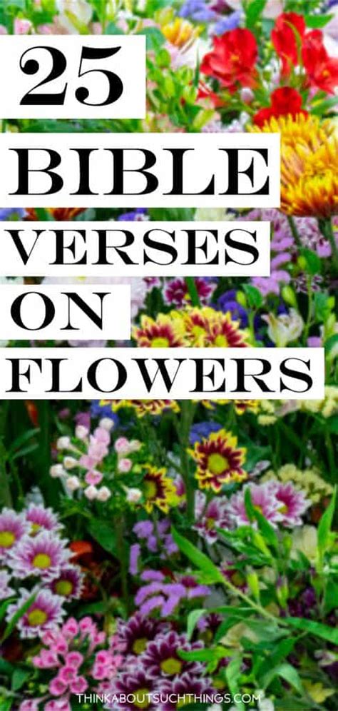 For behold, the winter is past; 25 Interesting Bible Verses About Flowers | Think About ...