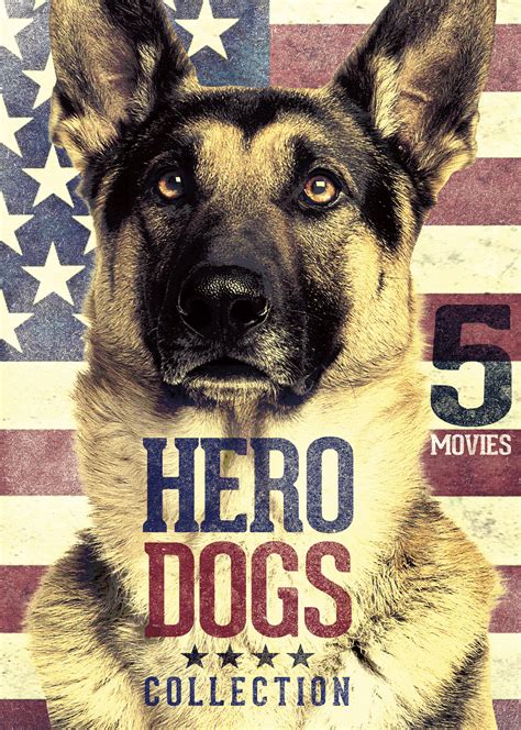 Best Buy 5 Movie Hero Dogs Collection Dvd