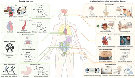 Energy Sources Available Around The Human Body And Biomedical Devices