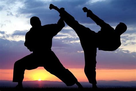 Virtues From Martial Arts Davao Catholic Herald