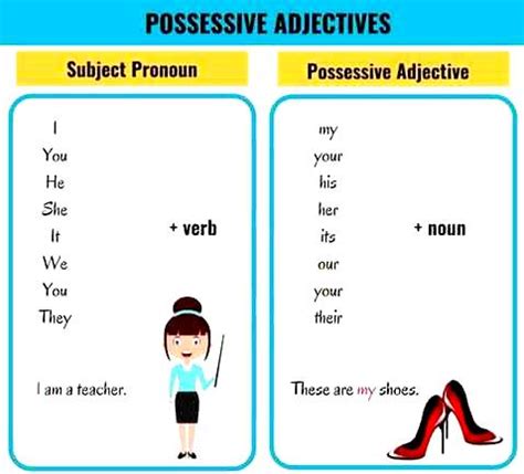 Adjetivos posesivos en inglés Aprendo en inglés