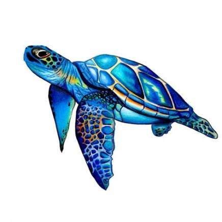 Best Painting Sea Turtles Watercolors 38 Ideas Ideas Painting