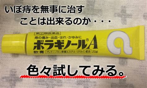 いぼ痔や切れ痔は、痛くない時は放置OK？女性や妊婦に多い理由 ...