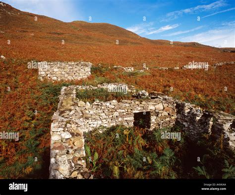 Ruined Houses And Field Wall At The Clearance Village Of Boreraig In