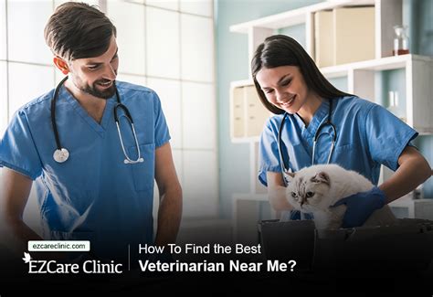 How To Find The Best Veterinarian Near Me Ezcare Medical Clinic