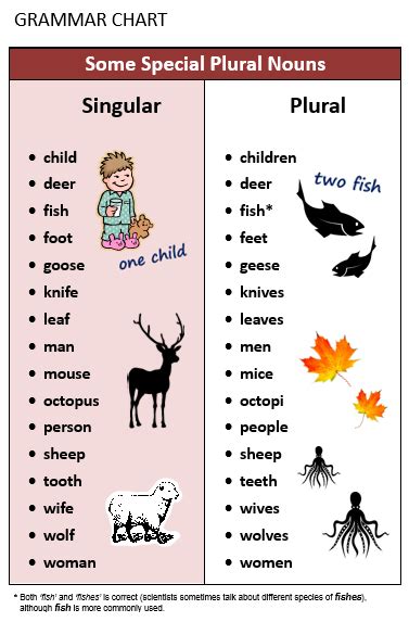 Plural And Singular Nouns All Things Grammar