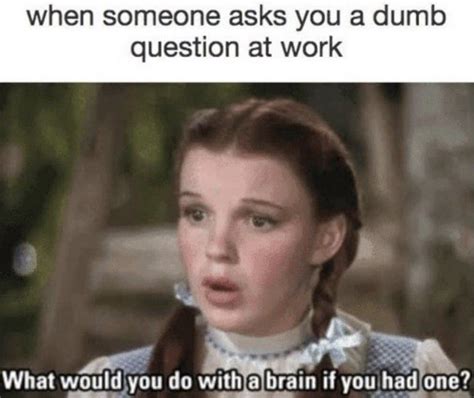 The Best Work Memes To Share With Your Co Workers Funny Memes About