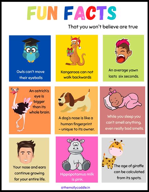 Fun Facts For Kids Fun Facts For Kids Facts For Kids Fun Facts Theme