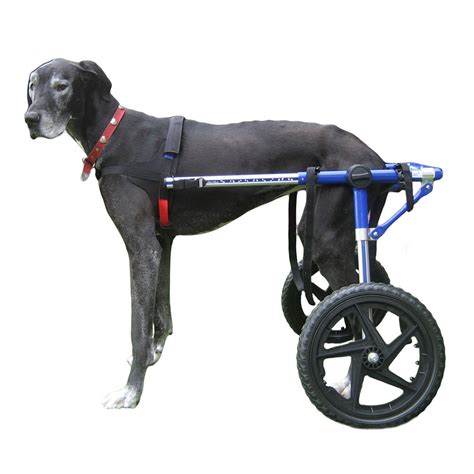 Walkin Wheels Dog Wheelchair 3xlarge Blue Dog Wheelchair Diy Dog