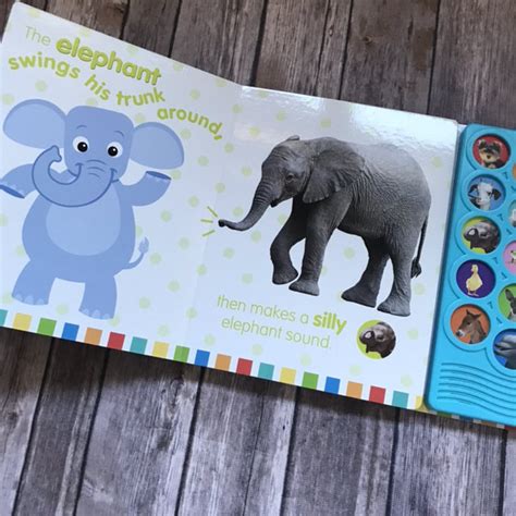 Baby Einstein Amazing Animals Sound Book