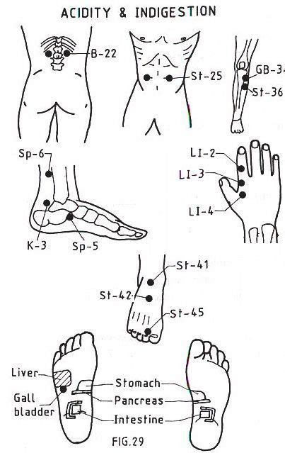 Acupressure Induce Labor Chart Image Search Results Akupressur