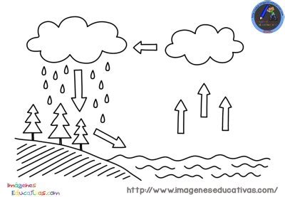 Así como el funcionamiento de la precipitación. Ciclo del agua para colorear - Imagenes Educativas