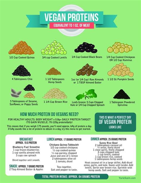 Best Vegan Protein Sources The Definitive Guide To Plant Based Protein