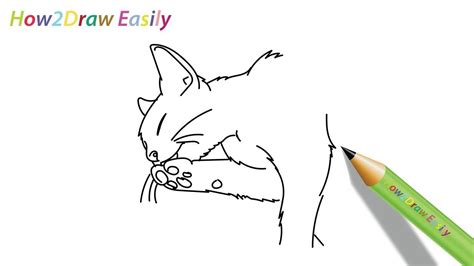 Capture the essence of your favorite furry friend by learning how to draw a realistic cat! Draw a Cat Laughing Face | Easy drawings for beginners ...